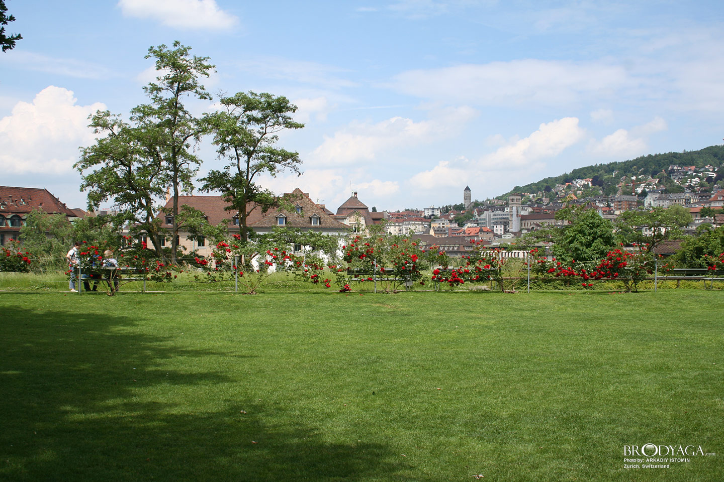 Zurich